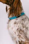 Load image into Gallery viewer, Ridge Collar