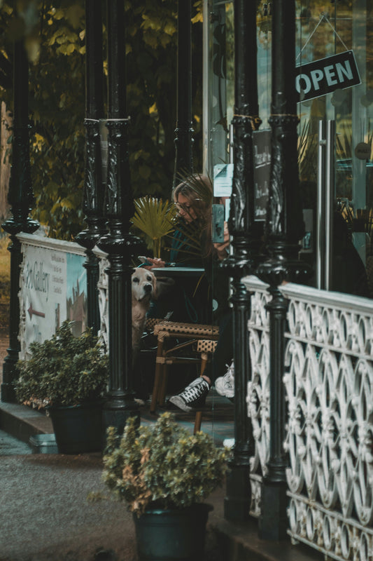 Coffee Shop Vibes:  Take Your Dog