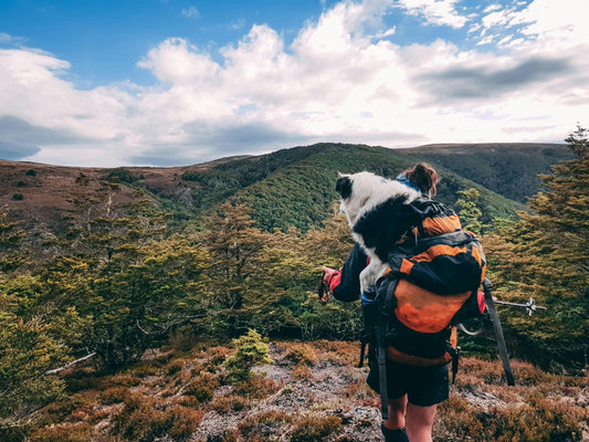Real Ways to Take Your Dog Outside