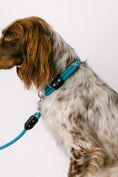 Load image into Gallery viewer, LUNAR Air Leash – Ultralight

