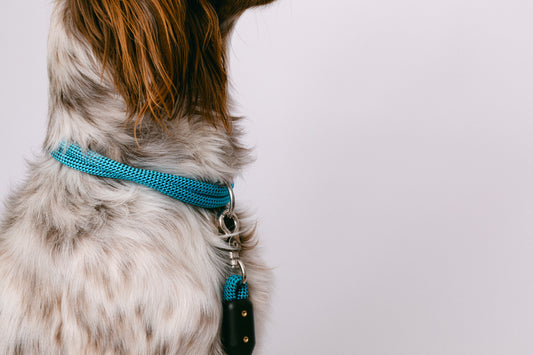 Ridge Collar