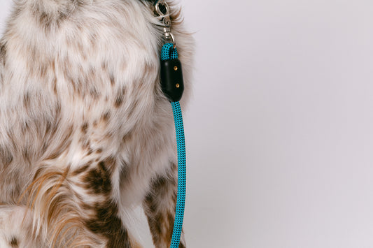 LUNAR Air Leash – Ultralight